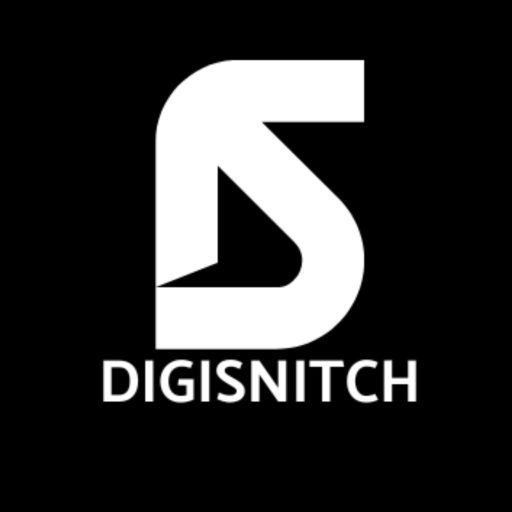 digisnitch.com